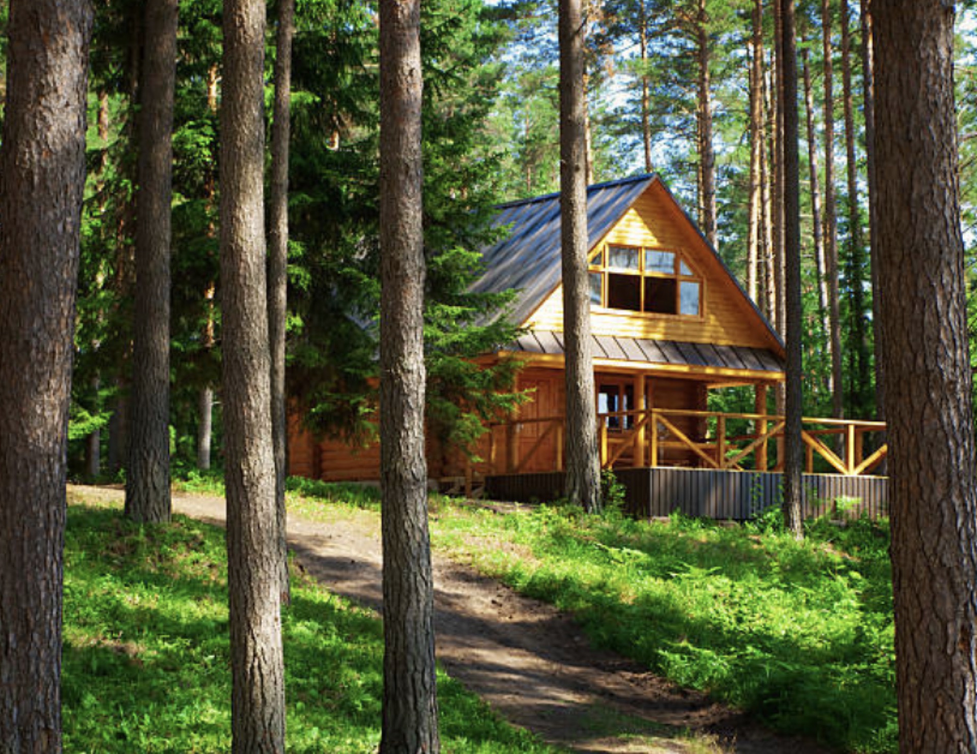 Shingletown, California